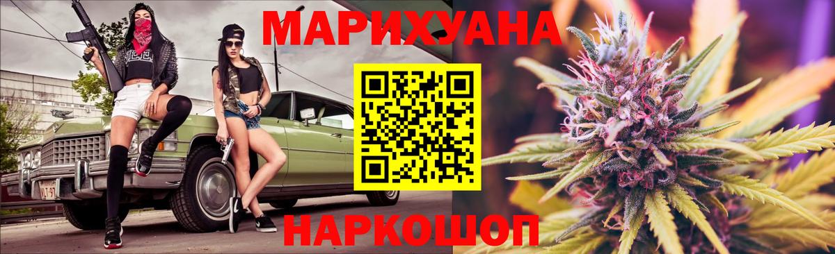 Конопля гибрид Печора